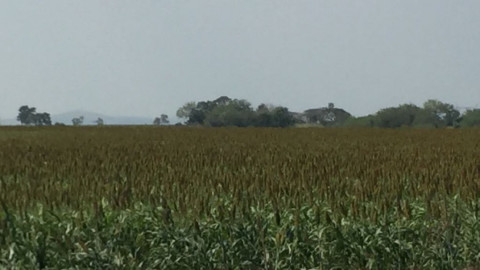 Cambio climático afecta ciclo de siembras