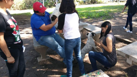 Realizan feria de adopción canina en Tampico