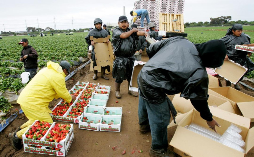 Acuerdan AMLO y Biden 150 mil visas de trabajo en EU para migrantes: Segob
