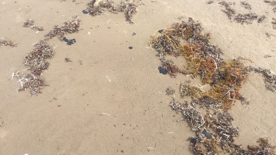 Aparecen manchas de chapopote en la playa Bagdad