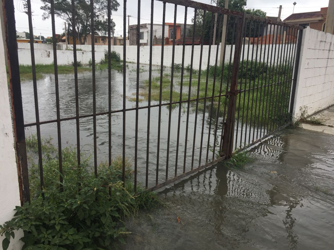 Fuga de aguas negras se convierte en río en la Manuel R. Díaz
