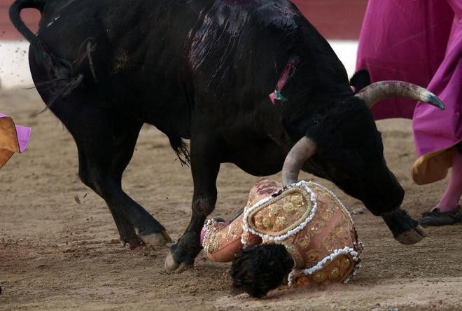 Fallece por cornada el torero español Iván Fandiño