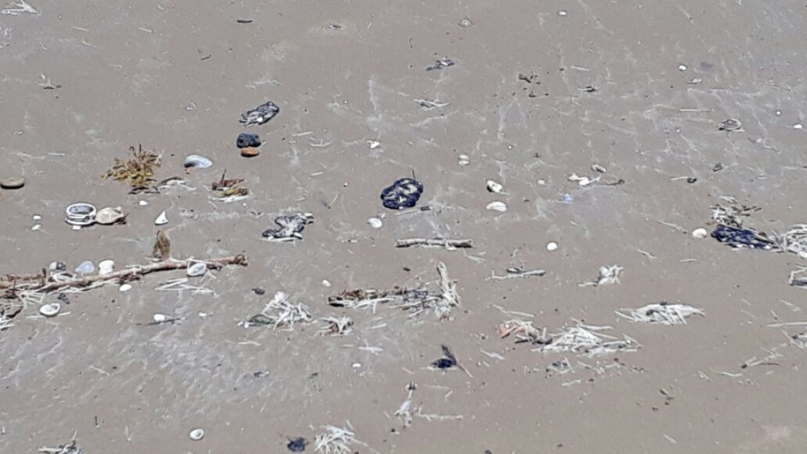 Lentitud en el proceso administrativo retrasa sanciones en temas ambientales