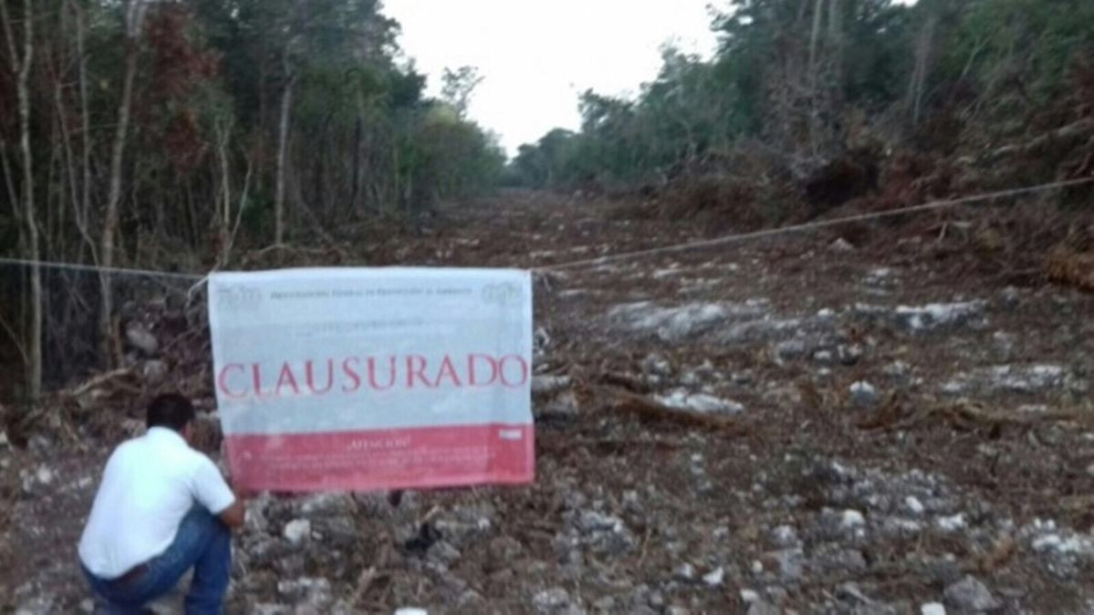 Clausuran en Quintana Roo predio