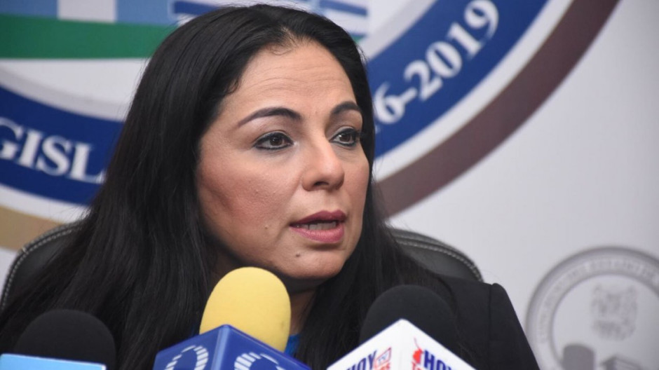 Derechos Humanos debe recuperar credibilidad: Olivia Lemus