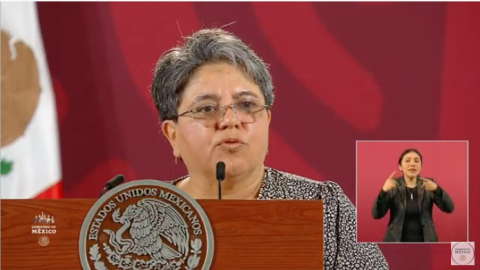 El SAT nunca pidió la constancia de situación fiscal, fueron las empresas: Raquel Buenrostro