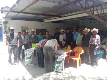 Gobierno del Estado continúa entregando Semilla de Calidad a productores 