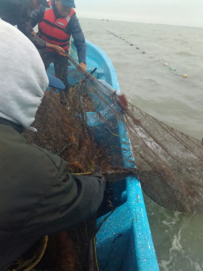 Combate Gobierno de Tamaulipas pesca irregular