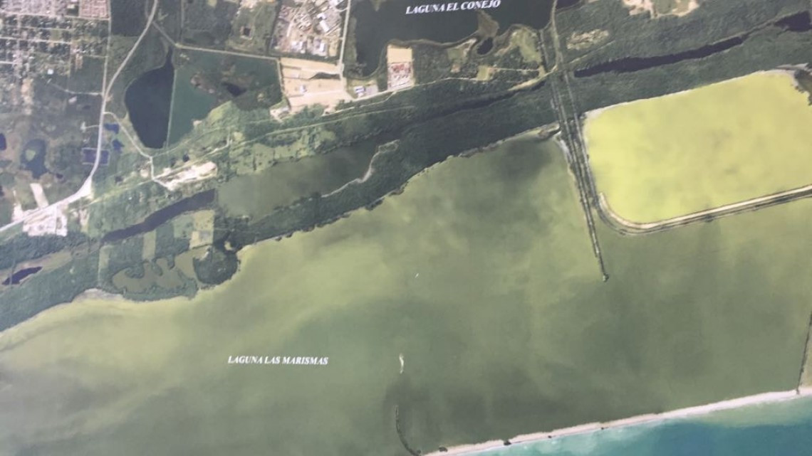 Se iniciarán trabajos de remediación del llamado Cordón litoral