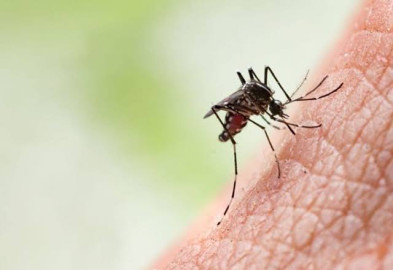 Confirman primer caso de dengue con signos de alarma en Matamoros; autoridades intensifican medidas sanitarias