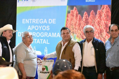 Tamaulipas entrega 28 ton. de semilla de sorgo