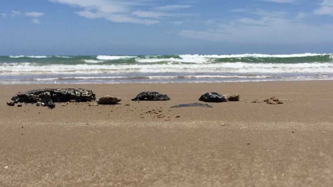 Flotan manchas de petróleo y se esparcen en Playa Tesoro