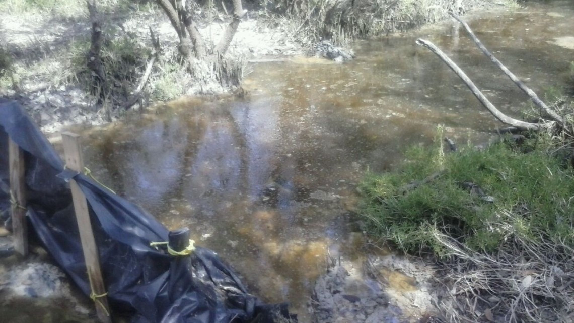 Ejidatarios denuncian problemas de contaminación por los trabajos del Gasoducto Texas Tuxpan