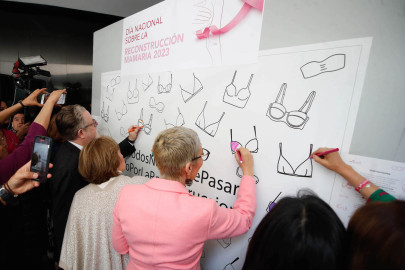 Piden a Diputados avanzar en incluir en servicios básicos de salud mastectomía, mamoplastia reconstructiva y acceso a prótesis 