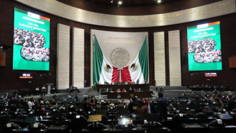 Diputados aprueban desaparecer los hospitales psiquiátricos