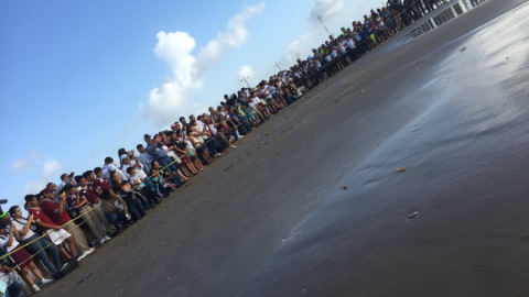 Liberan tortugas lora en Playa Bagdad de Matamoros