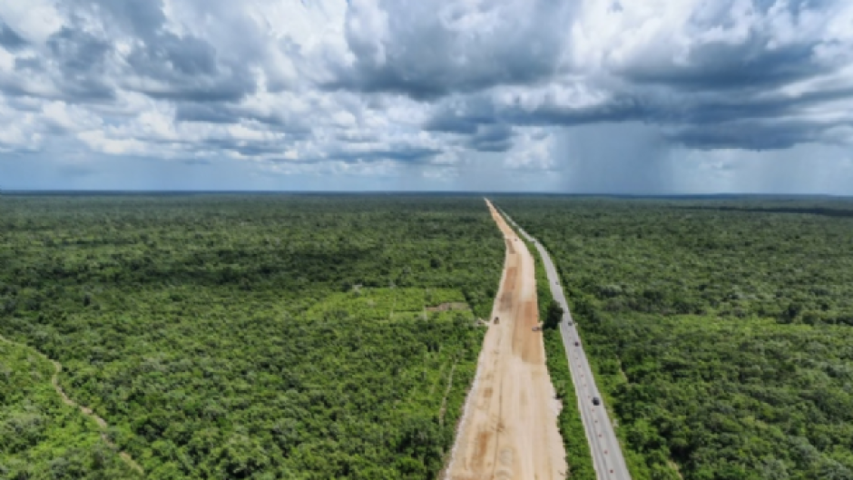 Semarnat debe entregar autorización provisional para construcción del Tramo 4 del Tren Maya: INAI 