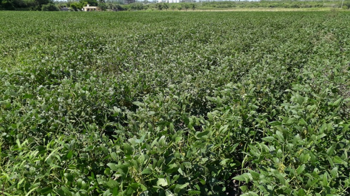 Piden a los agricultores evitar bloqueos a carreteras, y ofrecen apoyo para bajar los recursos e incentivar el campo