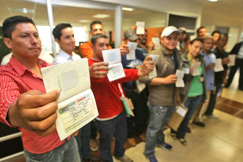 Aumenta en Canadá el número de peticionarios mexicanos por refugio