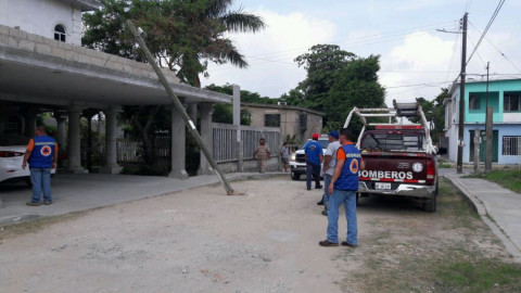 Dos accidentes viales se registran en Altamira
