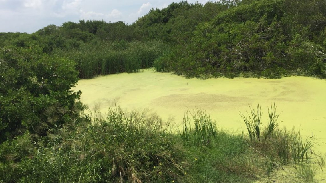 Lagunas comienzan a secarse por falta de lluvias