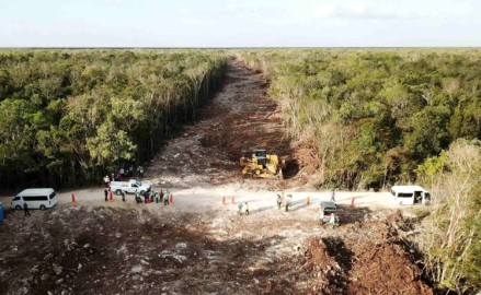 No nos van a detener: Responde AMLO tras amparo definitivo contra el Tramo 5 del Tren Maya 