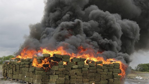 Incineran toneladas de marihuana y destruyen cocaína
