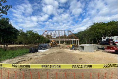 "No nos daremos por vencidos", AMLO sobre los amparos en contra del Tren Maya 