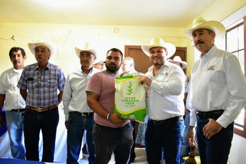 Proponen el ensilaje y nutrición con forraje de Súper Sorgo