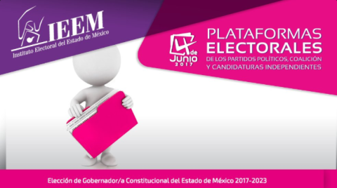 Publica IEEM Plataformas Electorales