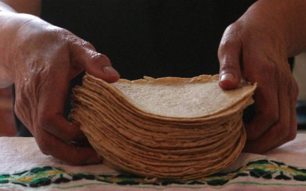 Mi principal preocupación es el precio de la tortilla: AMLO 