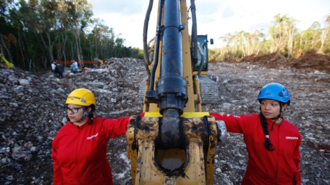 Pide GreenPeace México suspensión inmediata de construcción del tramo 5 del Tren Maya 