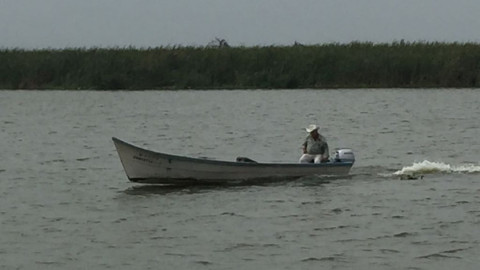 Pesca indiscriminada amenaza especies de la laguna de Champayán