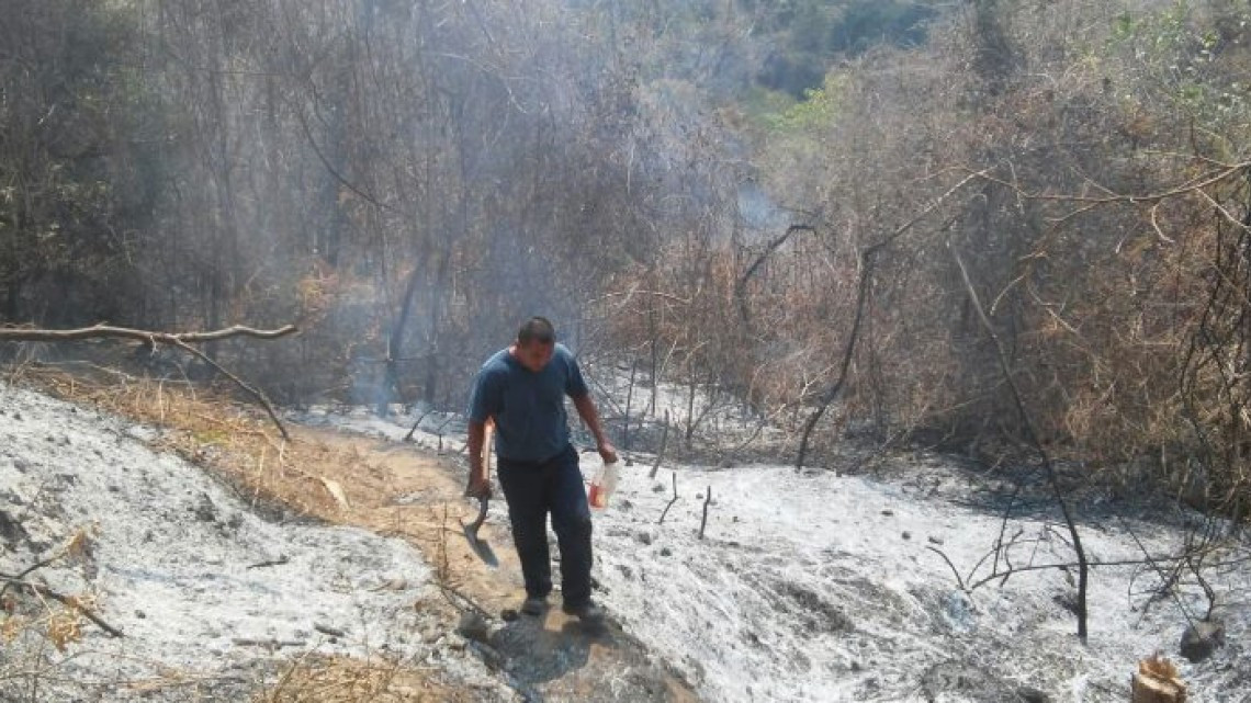Combaten brigadistas incendio forestal en Parque Nacional El Veladero