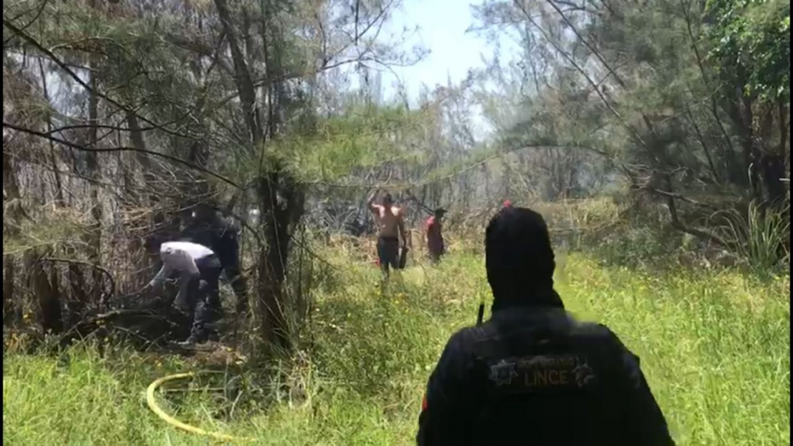 Se incendian pinos en terrenos ubicados en Colonia Miramar Uno