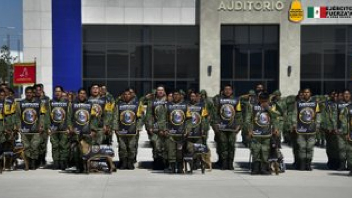 Rinden homenaje a "Proteo", perro mexicano que participó en labores de rescate en Turquía
