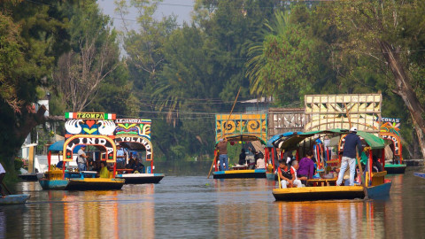 Podría desaparecer Xochimilco en el 2050