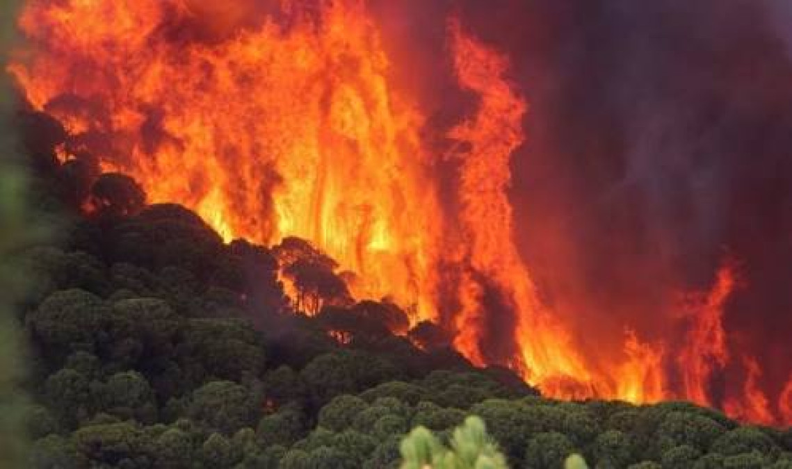 Incendio forestal en California fue provocado por pinchadura de llanta