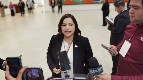 Para una mejor distribución de apoyos sociales, en 15 días se prevé concluir con encuesta del Bienestar 