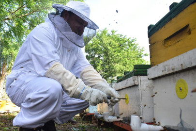 Avanza proyecto de la Sala de Extracción en Llera