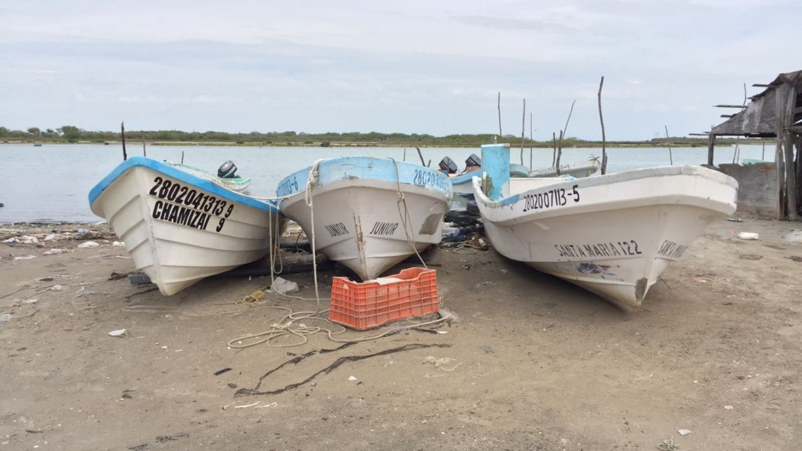 Avanza desalojo en Puerto Matamoros, familias en la incertidumbre