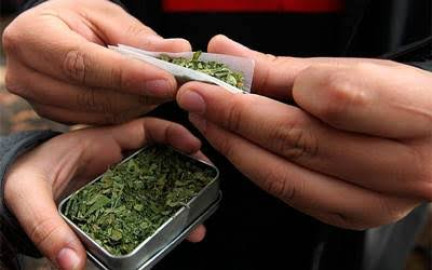 Movimiento Cannábico propone zonas de tolerancia de consumo de marihuana