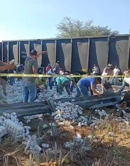Realizan rapiña de cervezas de un tráiler tras choque con el tren en Jalisco
