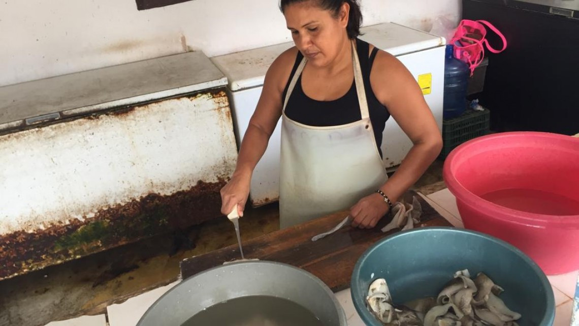 Afecta pez diablo la producción pesquera en lagunas del Sur