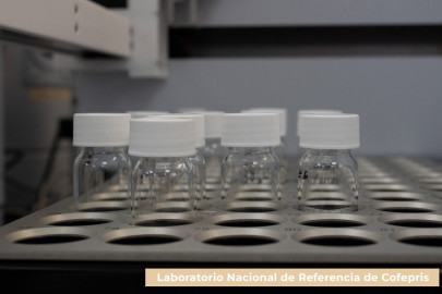 Descarta COFEPRIS presencia de hongo en medicamentos relacionados con meningitis en Durango