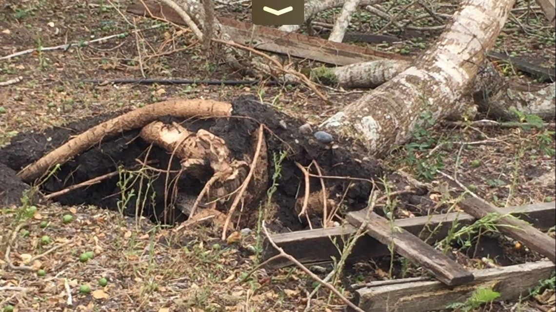 Tornado genera daños en municipios del norte de Veracruz