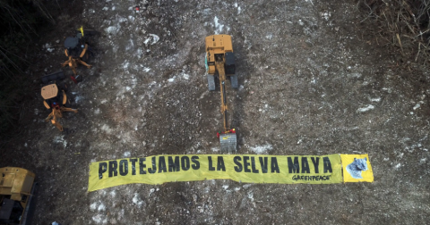 Gobierno de AMLO cancela reunión con artistas y ambientalistas en Palacio Nacional 