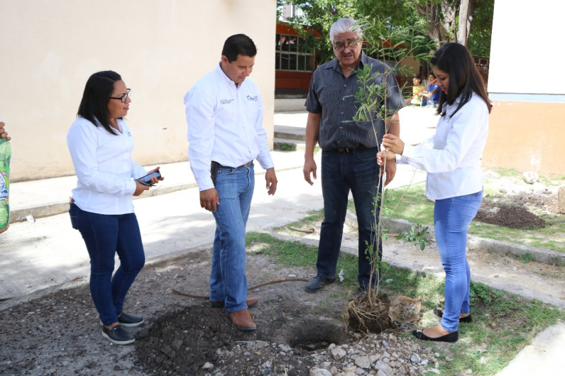 Agradece Reforestación en escuelas primarias al Gobierno del Estado