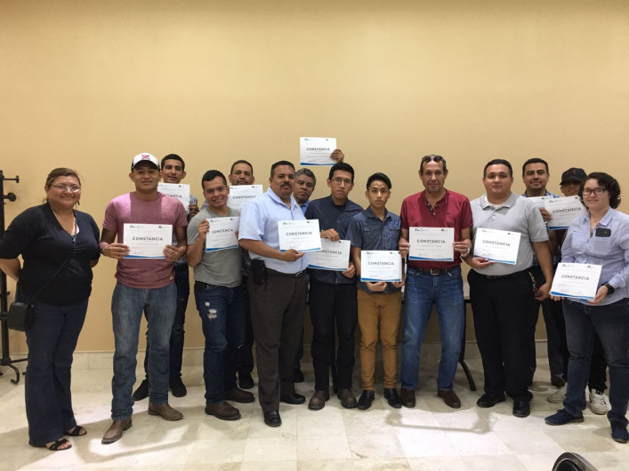 Sábila, una opción exitosa de reconversión de cultivos