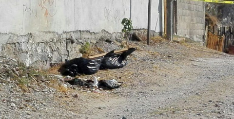 Dejan en Chilpancingo bolsas con restos humanos